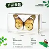 4 # Ciudad del Libro Mediana Océano de Insectos Mariposa Espécimen Ámbar Adorno Centro de Insectos Más Vendido Exposición de Ciencia Popular Regalo de Estudio