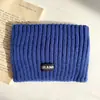 Faixa de Cabeça Esportiva Feminina Outono e Inverno Estilo Celebridade da Internet Modificadora de Rosto Letra Aba Larga Casual Cor Sólida Malha de Lã Headband