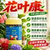 Spray Fungicida Huaye Kang para Buganvílias, Rosas, Orquídeas, Suculentas, Flores - Agente Universal Ativo para Cuidado de Flores