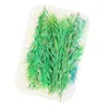 Kit de Materiales DIY de Flor Seca para Aromaterapia sin Fuego, Piñas Secadas al Aire, Canela, Ornamentos de Fragancia Natural de Planta Hechos a Mano para Decoración