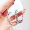 Brincos de Franja com Design de Nicho, Brincos de Alta Qualidade, Brincos Elegantes, Agulhas de Prata 925, Brincos Longos de Luxo Acessível Atacado
