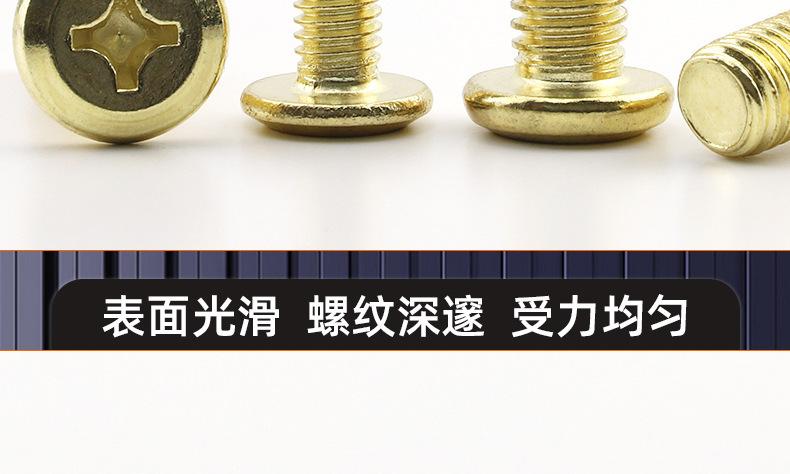 金色304不锈钢倒边十字螺丝_03_17.jpg