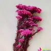 Flor de Arroz flor eterna pacote de material multicolorido buquê de flores secas acessórios de material de flor DIY flores e plantas fábrica Dounan decoração de arranjo de flores