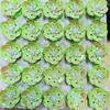 Lentejuelas Perlas Flores de 2 cm Accesorios de Decoración DIY Piezas Hechas a Mano Perlas Brillantes Lentejuelas Flores Flores para Zapatos Hechas a Mano
