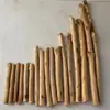 Musgo Árvore Aquascaping Quadro Casca de Coco Fatia Redonda Copa de Árvore Brasileira Uma Árvore Cria Cenário Quadro