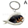 Llavero con una Mochila de Perro Dentro de la Cáscara, Accesorio Decorativo para Llavero, Llavero de Cáscara de Mascota Popular de Venta Transfronteriza