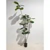 Ficus Lyrata Artificial para Interiores, Planta Decorativa Grande de Piso en Maceta para Hotel y Centro Comercial, Decoración Suave y Paisajismo