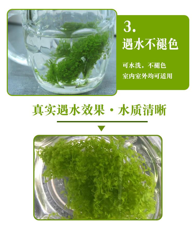 详情6.jpg