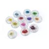 Decoración de uñas con 12 flores secas de colores, joyería para uñas con flores secas, fototerapia, suministros para decoración de uñas, 12 flores diferentes