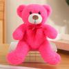 Oso de Peluche Juguete de Peluche Regalo de Graduación Muñeca de Regalo Oso para Abrazar Muñeca de Boda Transfronterizo