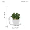 Oferta Especial do Fabricante: Plantas Suculentas Artificiais em Vasos de Cerâmica para Mesas de Escritório Internas, Pequenas Plantas Verdes em Vasos, Flores Artificiais, Plantas Suculentas em Vasos
