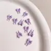 Accesorios para Uñas con Forma de Lazo Ola Escarchada Lazo Resina Serpentina Moño Pequeño Estilo Japonés Uñas Portátiles Accesorios para Uñas DIY