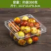 Caixa de Embalagem Descartável para Frutas Caixa Plástica Transparente Caixa de Embalagem para Morango 0,5kg Retangular com Tampa 500g