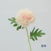 Dente-de-leão Galho Único Simulação de Layout de Auditório de Casamento Rosa Horticultura Floricultura Arco Arco Remar Flor Palco T Adereços Flor
