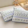 Fundas de almohada acolchadas clase A, juego de dos, 48x74 cm, fundas de almohada para adultos, resistentes al aceite, nuevo modelo 2026, funda interior para núcleo de almohada resistente a la suciedad