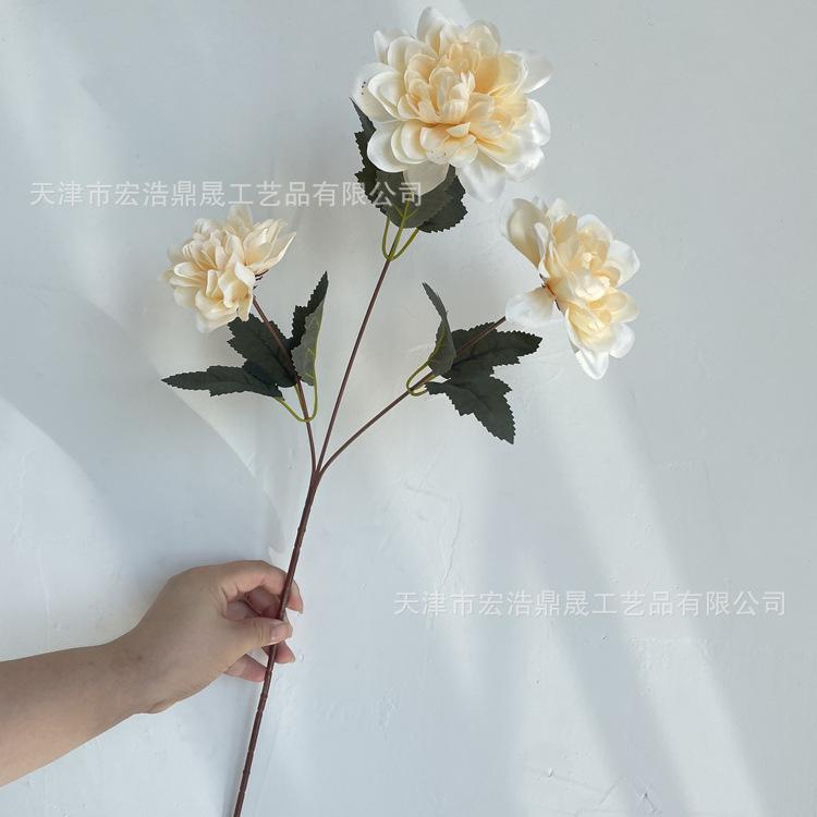 微信图片_202208111652104_副本