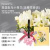 Xiangdao BISSU Flor Rosa Gesso Aromaterapia Pingente Presente de Acompanhamento para Feriado Joia para Carro Peça de Fragrância Atacado