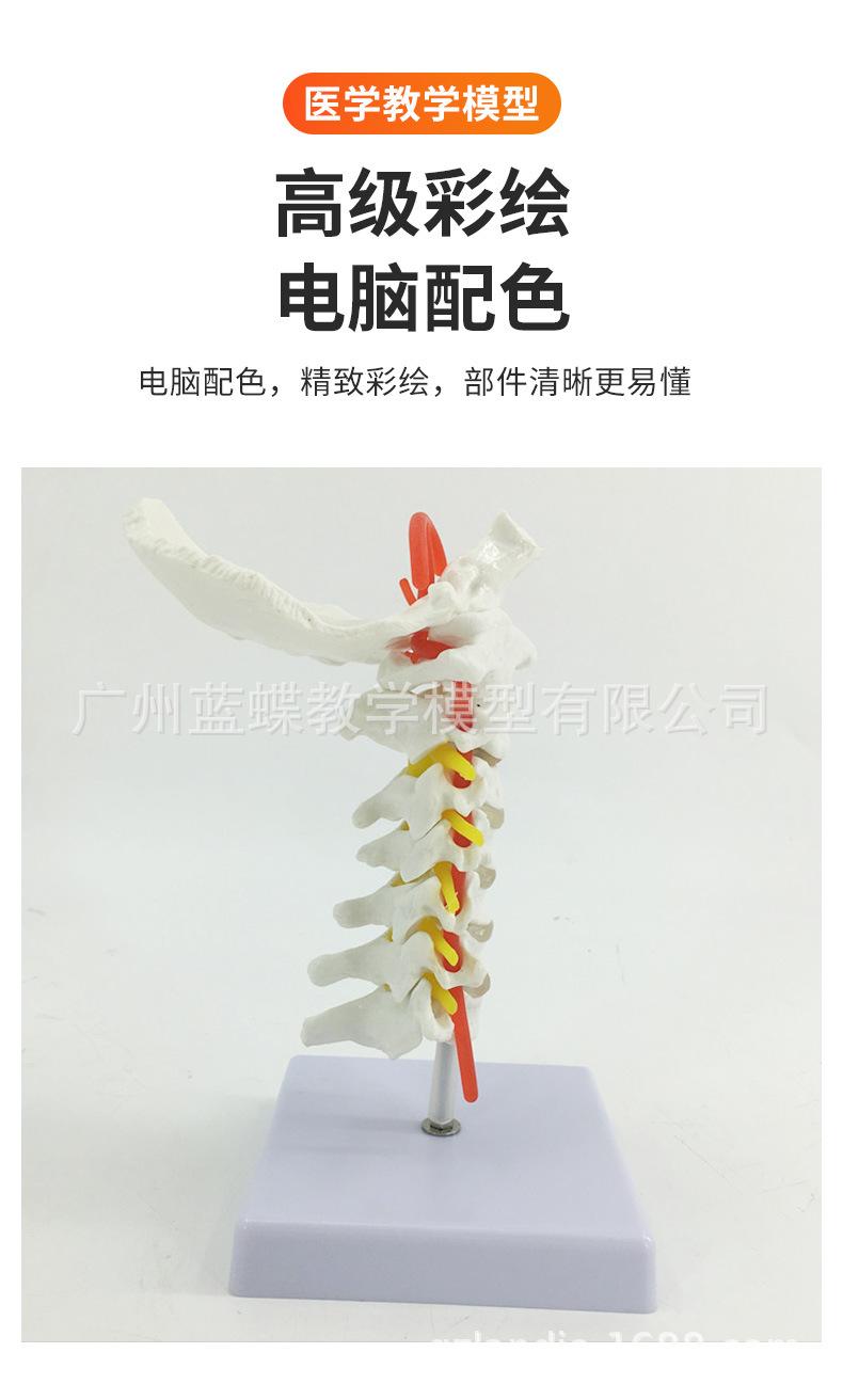 详情_04.jpg