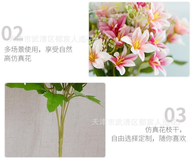 详情 (8).jpg