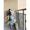 2026 Elegante Socialité Estilo Hong Kong Suave Tejido Sin Mangas Seda de Hielo Vestido Ajustado Ceñido a la Cintura Bodycon Largo