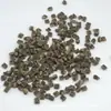PP Biodegradable de Origen Biológico Fibra de Ajenjo Natural Grado de Moldeo por Inyección de PP Antibacteriano Doméstico para Productos de Pared Delgada