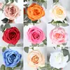 Enredadera de mimbre artificial, enredadera de flores falsas, decorativa para sala de estar, paisajismo interior, fondo de boda, flores de plástico y seda