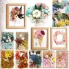 Flores Secas DIY Flores Imortais Pétalas de Flores Naturais Relevadas Pacote de Material Relevado Vela de Aromaterapia Fabricante de Material Floral Atacado