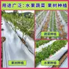 Nuevo material plata negro dos colores película de acolchado película de acolchado reflectante para plantación de frutas y verduras película de acolchado para invernadero repelente de malezas película agrícola