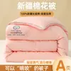 Colcha de Algodón de Xinjiang Colcha Gruesa de Invierno Algodón de Fibra Larga Núcleo de Colcha Cálido Colcha para Dormitorio y Hogar Núcleo de Colcha Venta al por Mayor
