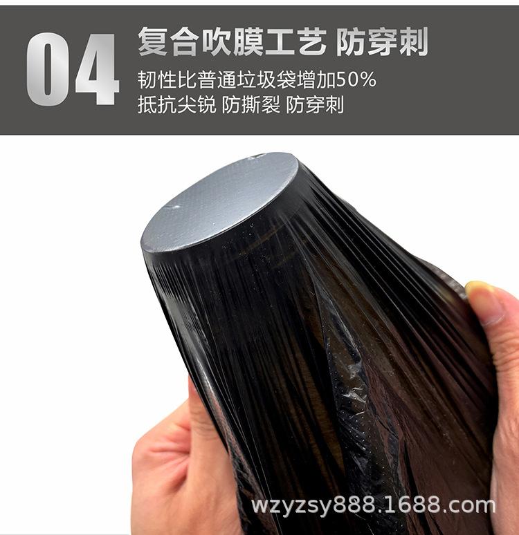 扬州雄狮07.jpg