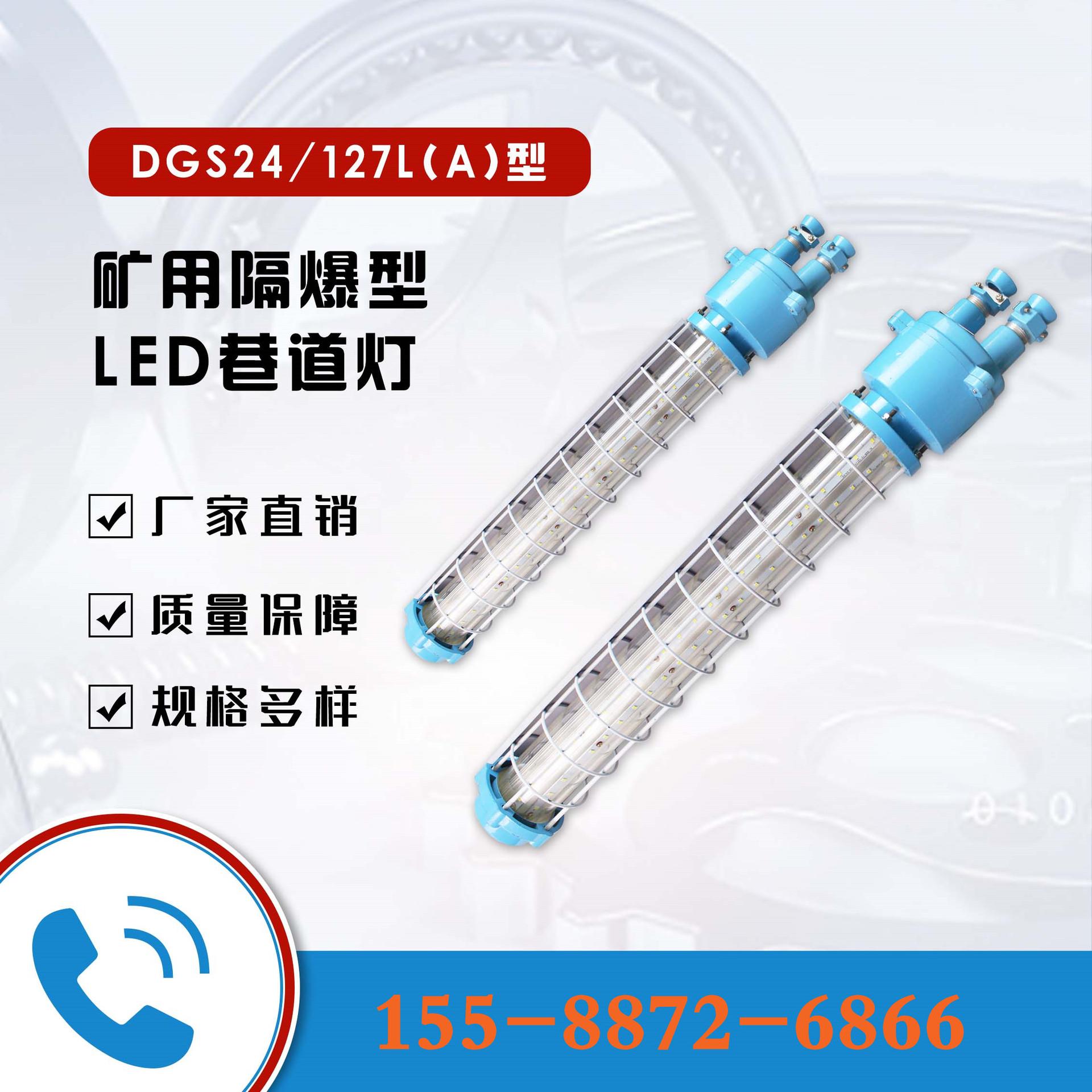 DGS24-127L(A)矿用隔爆型LED巷道灯 (2)