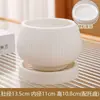 Maceta de Cerámica Simple para Uso Doméstico con Plato, Venta al por Mayor Transfronteriza Temu, Específicamente para Orquídeas Phalaenopsis y Plantas Suculentas