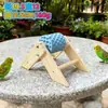 Alimentador de Pássaro Runtin Frango Pet Alimentador Giratório Entretenimento Pintinho Esquilo Pedra de Roer