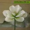 Folha de lótus de PU com haste folha de lótus sensação de alta qualidade Folha de lótus Atacado folha de simulação flor de simulação casamento Lótus