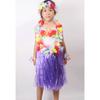 Amazon terno Adulto Havaiano Jardim de Infância Pais Festa Props Show Dress Up Fantasia Hula Saia