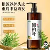 Champú Suavizante de Hojas de Ciprés Platycladus Personalizado, Nutritivo con Polygonum Multiflorum, Limpieza Profunda y Reparador, Procesamiento OEM