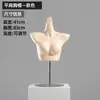 Mannequin de Torso Masculino e Feminino com Roupas Íntimas Brancas Franzidas Suporte para Exibição em Vitrine de Loja de Lingerie Cabide para Sutiã