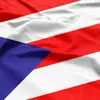 Bandeira de Porto Rico Banner Fibra de Poliéster 100D 3x5 Pés Poliéster Feito Sob Medida