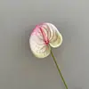 Borracha macia impressão de palma de fogo arranjo de flores decoração colorida garça de fogo palma vermelha palma branca decoração de impressão de palma arranjo de flores borracha macia colorida garça de fogo