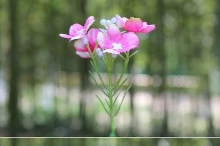 125-花草_08.jpg