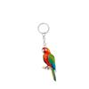 Llavero Acrílico Entusiasta de Loros Decoración de Llavero Regalo Listo para Stock Transfronterizo Llavero de Loro