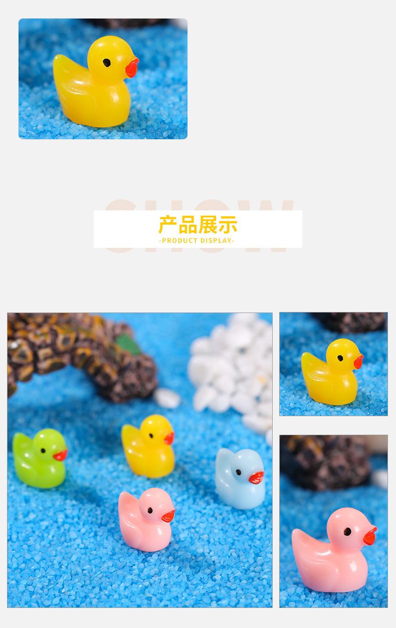 彩色小鸭_05