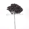 [Niebla Natural Hortensia] Flor Eterna Flor Seca Hortensia Anna Hortensia Lobular Material para Boda DIY Venta al por Mayor