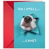 Colección de Tarjetas de Feliz Cumpleaños con Sobre Tarjetas Lindas Divertidas Interesantes para Deseos Mensajes Regalos