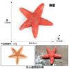 Simulación de Animal Marino Modelo de Pez Juguete Salmón Salmón Lubina de Boca Grande Atún Acuario Decoración de Paisaje