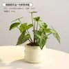 Flores Artificiais Transfronteiriças, Ornamentos de Flores para Decoração de Sala de Estar, Buquês Secos para Interior, Vasos de Cerâmica, Flores de Seda, Pequenas Plantas em Vasos, Decorações de Mesa, Plantas Verdes