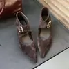 Sapatos femininos de bico fino e raso estilo francês 2026 primavera estilo coreano nicho salto fino Mary Janes temperamento versátil salto alto