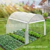 Invernadero tipo túnel para caminar de 3X2X2M con puertas laterales, Ventanas de invernadero de tubo de hierro galvanizado, Multicapa para flores