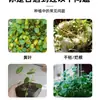 Solución Nutritiva Especial para Hierba de Cobre Verde, Cultivo Hidropónico y en Tierra, Realza el Verde, Promueve el Crecimiento, Previene el Marchitamiento y el Amarillamiento de las Hojas, No Requiere Dilución, Fertilizante al por Mayor