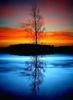 Pintura de diamantes 5D de Amazon, con diseño de atardecer, luna, planta, árbol y paisaje, pintura decorativa DIY, fabricantes, venta al por mayor, superventas